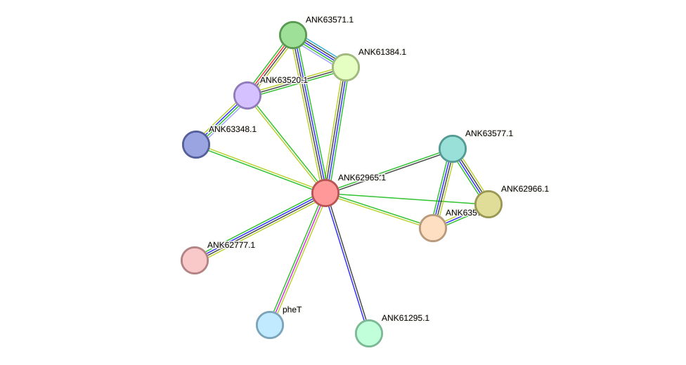STRING protein interaction network