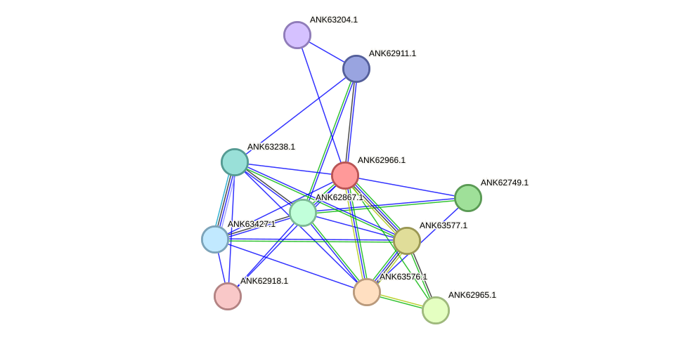 STRING protein interaction network