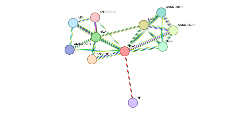 STRING protein interaction network