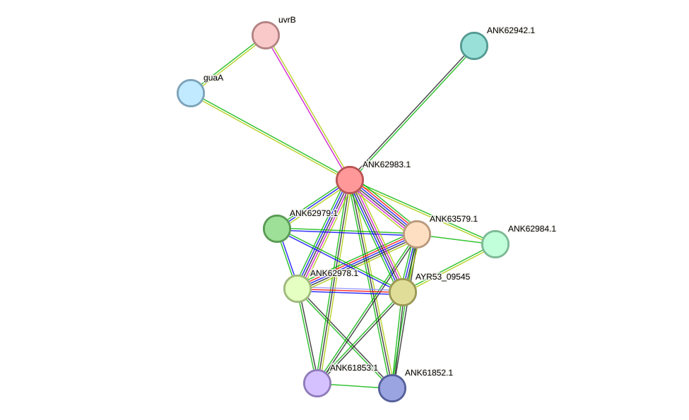STRING protein interaction network