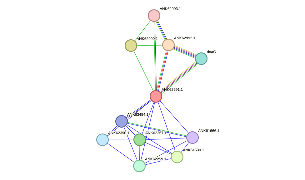 STRING protein interaction network
