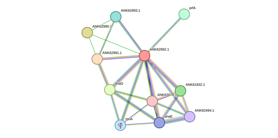 STRING protein interaction network