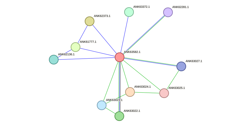 STRING protein interaction network