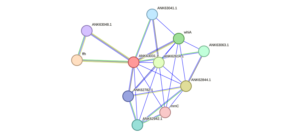 STRING protein interaction network