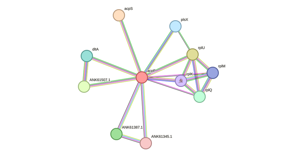 STRING protein interaction network
