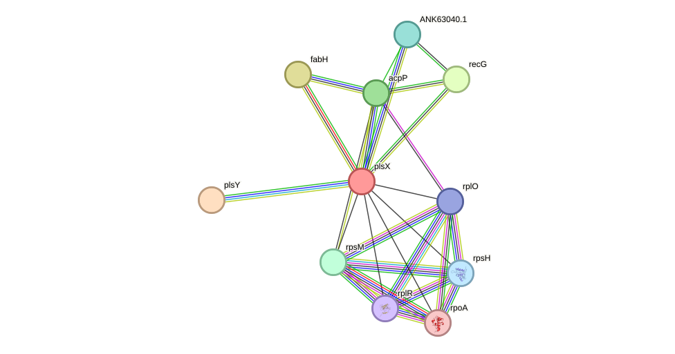 STRING protein interaction network