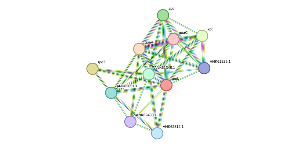 STRING protein interaction network