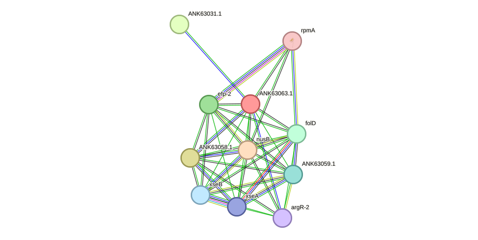 STRING protein interaction network