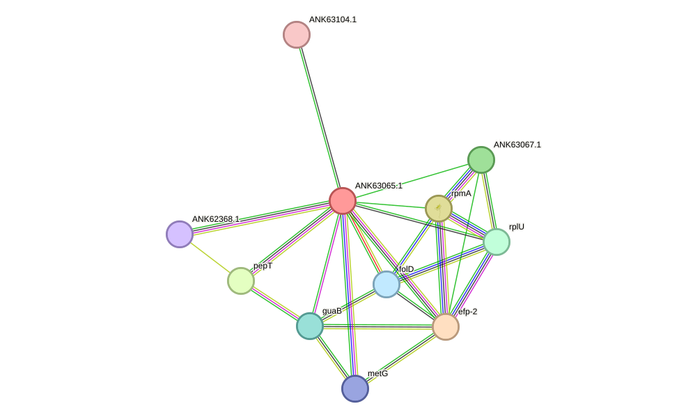 STRING protein interaction network
