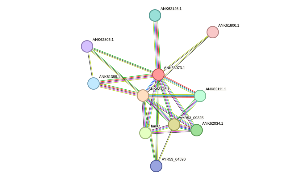 STRING protein interaction network