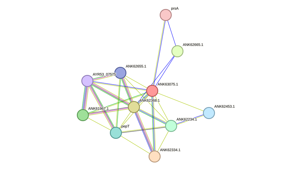 STRING protein interaction network