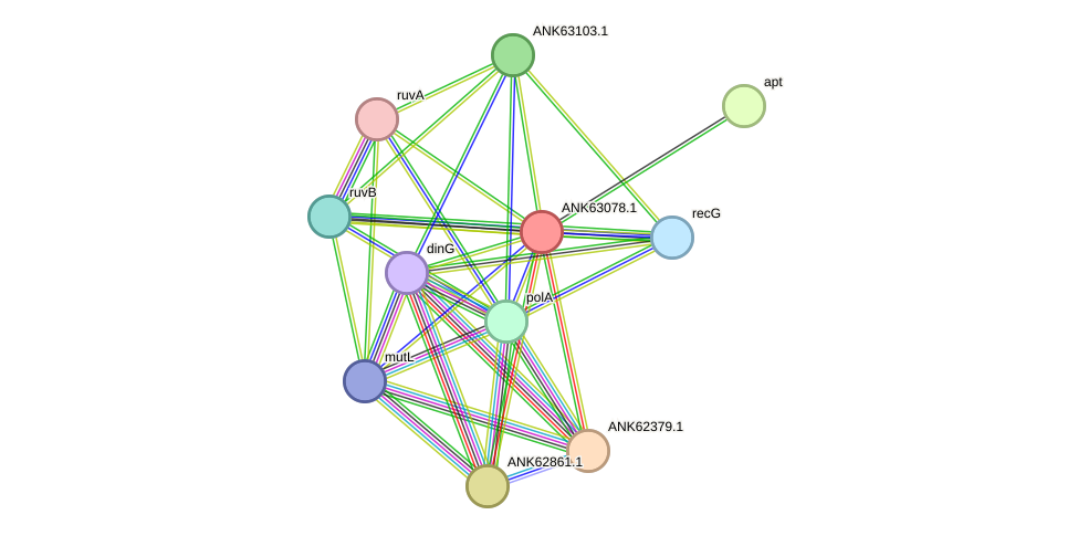 STRING protein interaction network