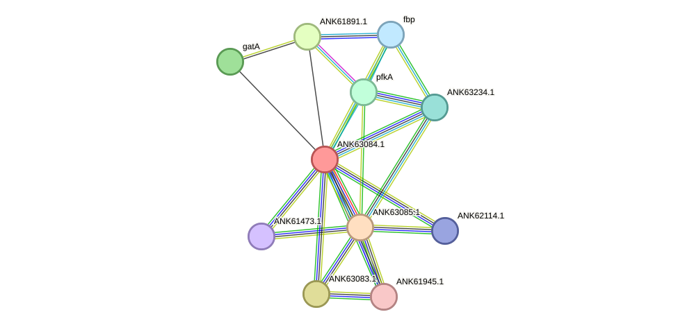 STRING protein interaction network