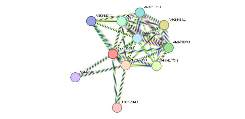 STRING protein interaction network