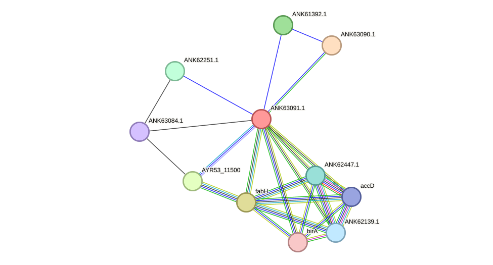 STRING protein interaction network
