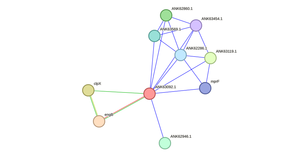 STRING protein interaction network