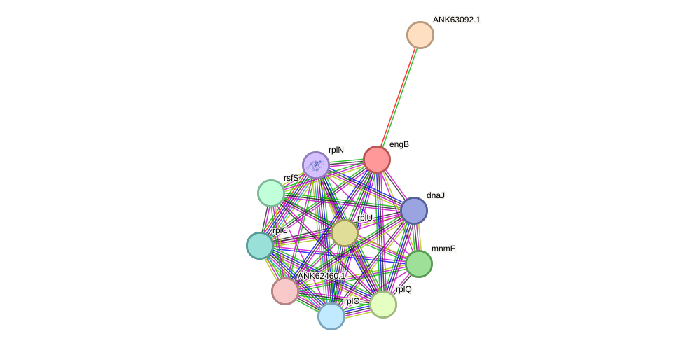STRING protein interaction network