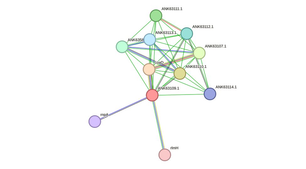 STRING protein interaction network