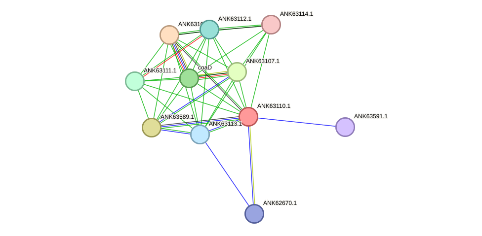 STRING protein interaction network