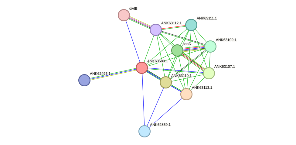 STRING protein interaction network