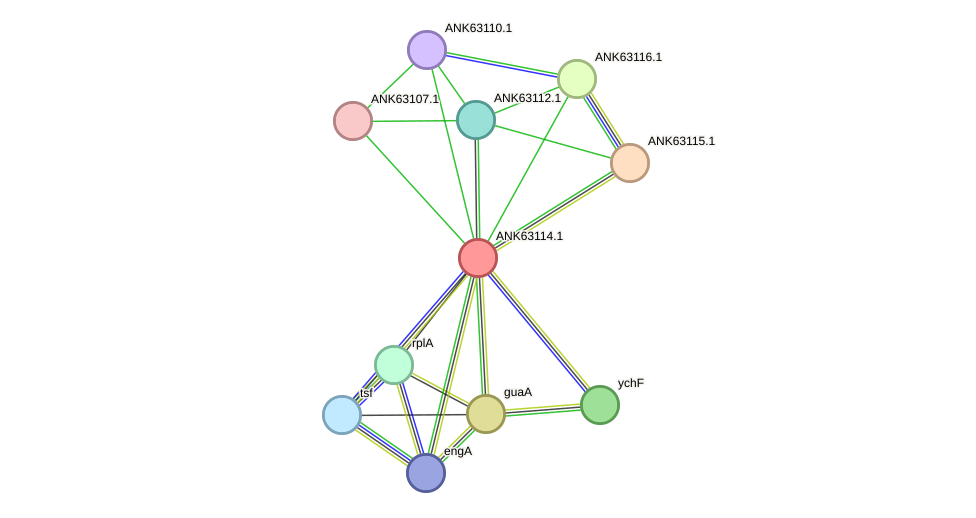 STRING protein interaction network