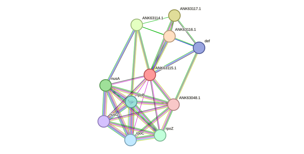 STRING protein interaction network