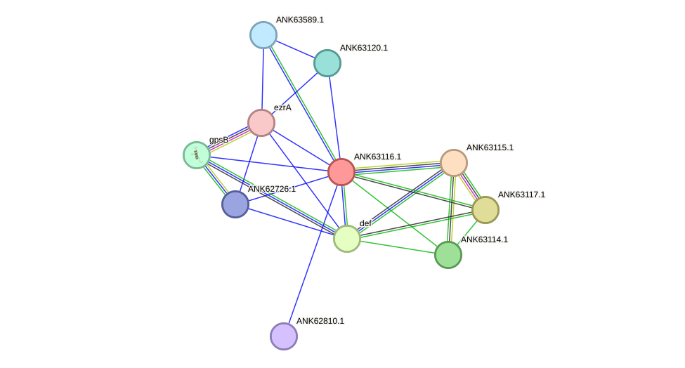 STRING protein interaction network