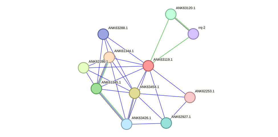 STRING protein interaction network