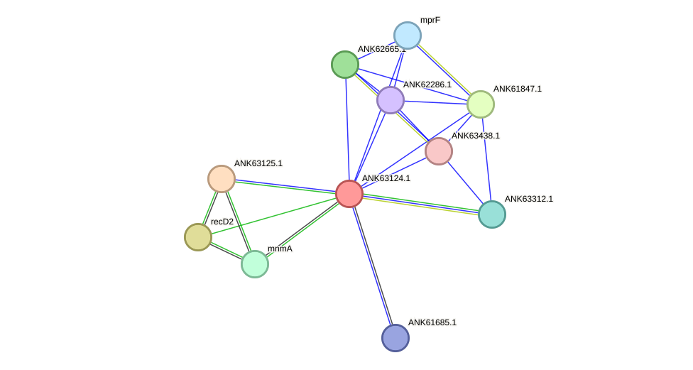 STRING protein interaction network