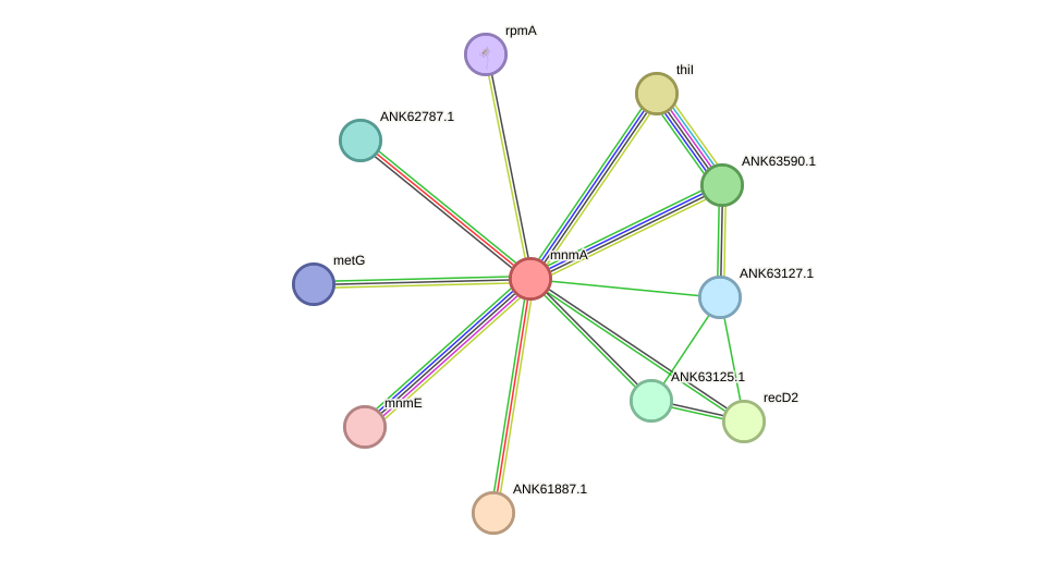STRING protein interaction network