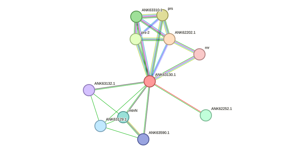 STRING protein interaction network