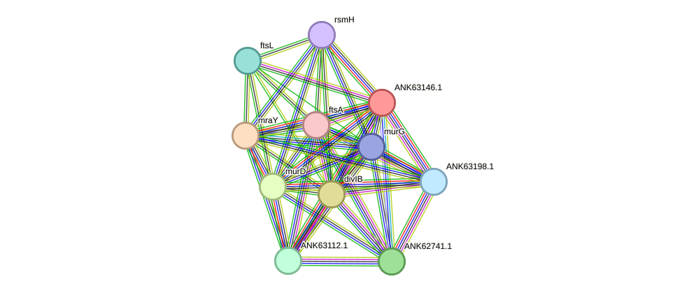 STRING protein interaction network