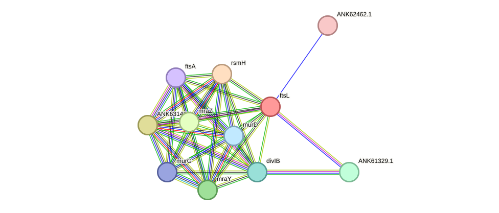 STRING protein interaction network