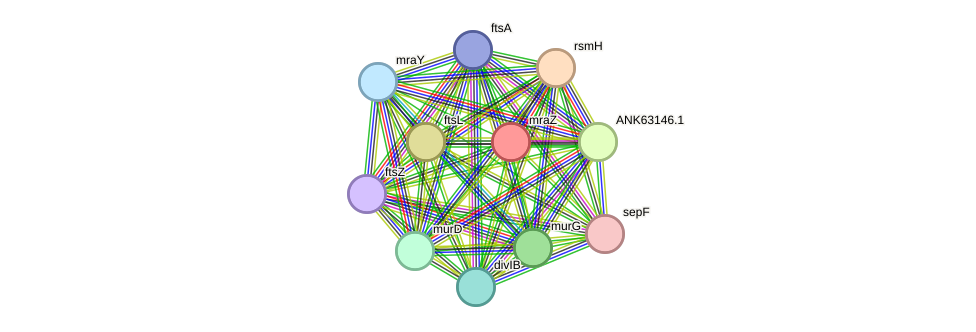 STRING protein interaction network