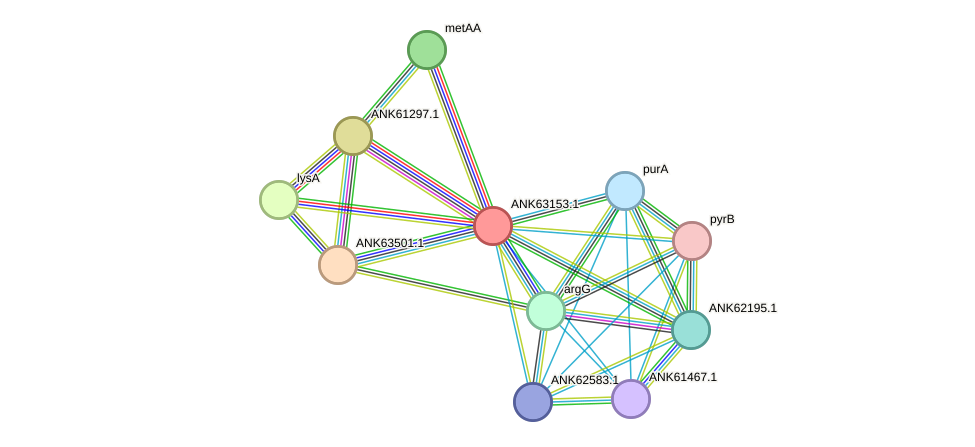 STRING protein interaction network