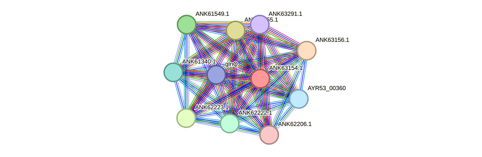 STRING protein interaction network