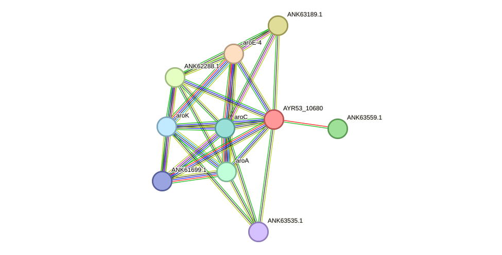 STRING protein interaction network