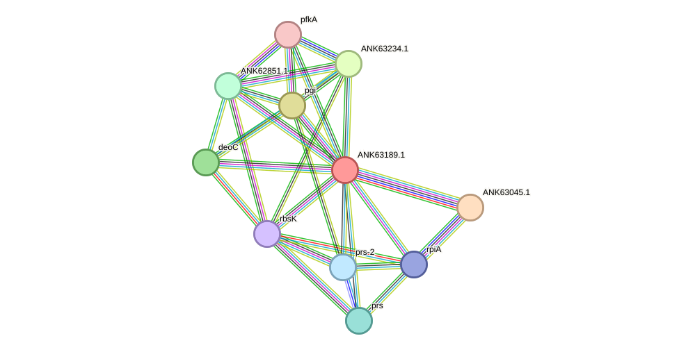 STRING protein interaction network