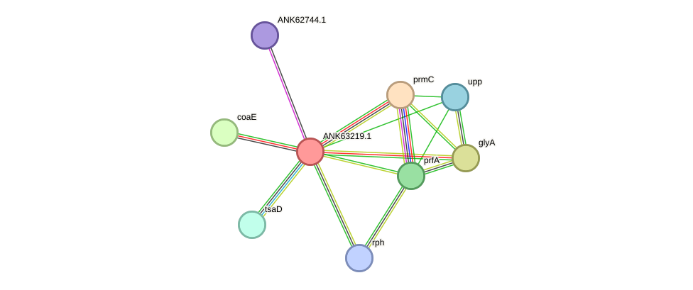 STRING protein interaction network