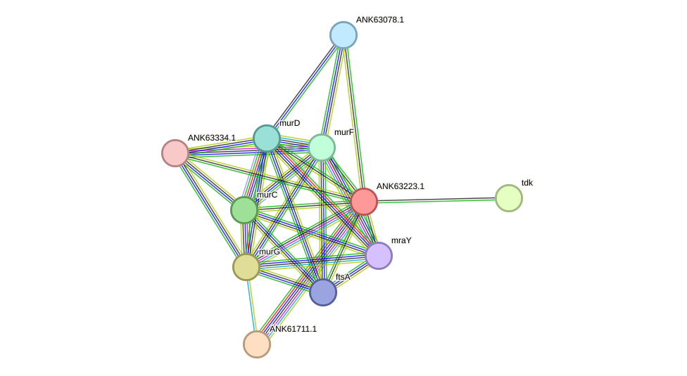 STRING protein interaction network