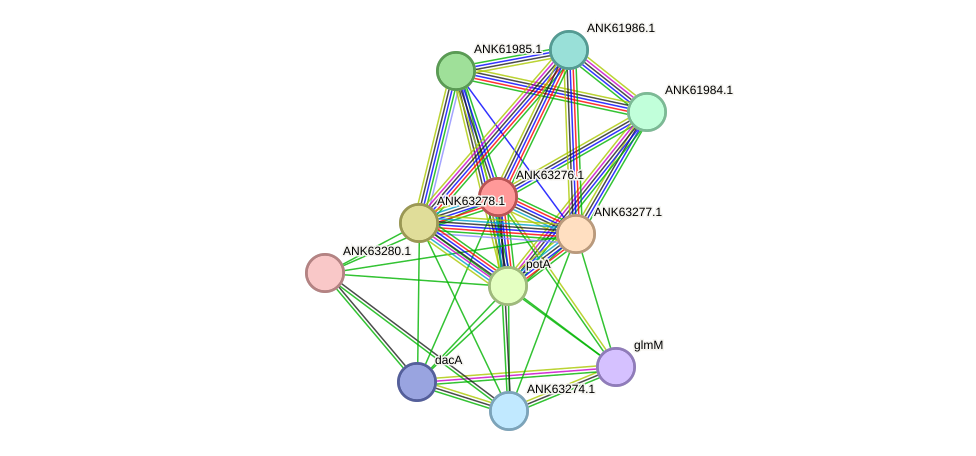 STRING protein interaction network