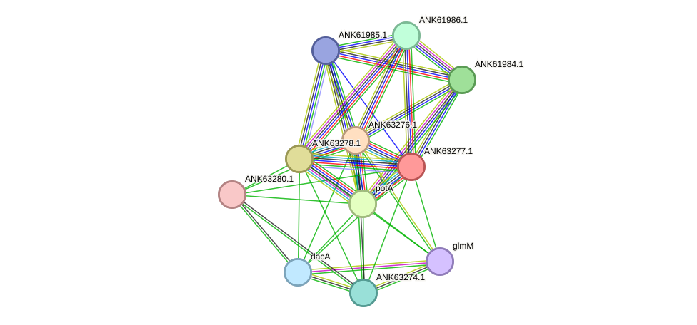 STRING protein interaction network
