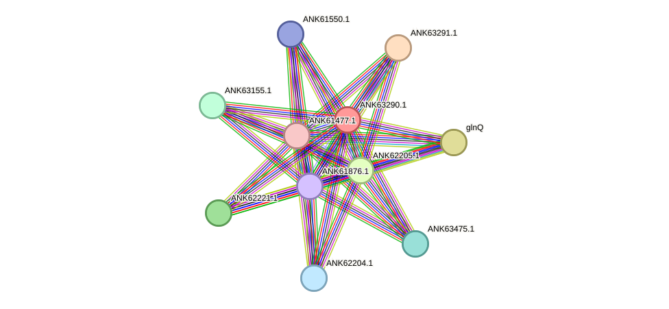 STRING protein interaction network