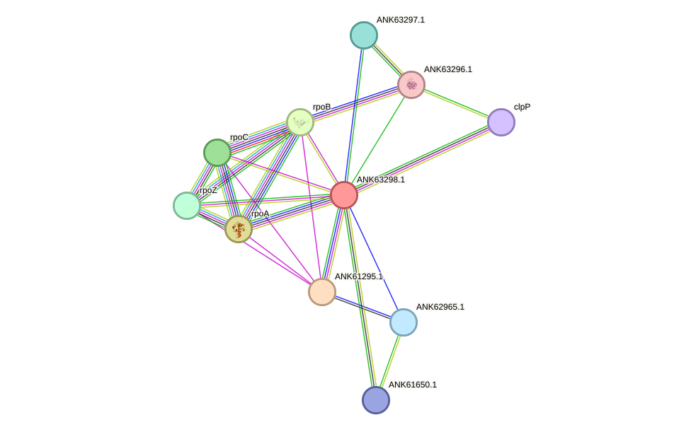 STRING protein interaction network