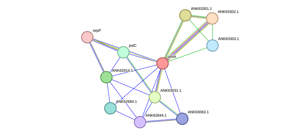 STRING protein interaction network