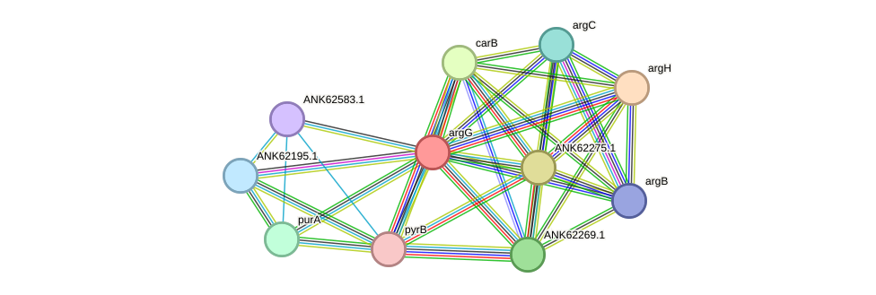 STRING protein interaction network