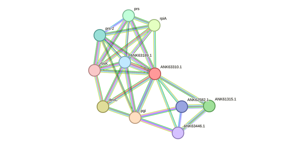 STRING protein interaction network