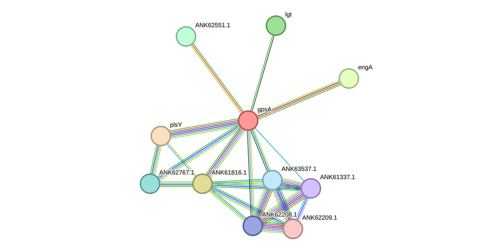 STRING protein interaction network