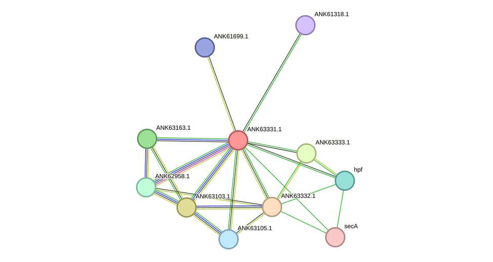 STRING protein interaction network