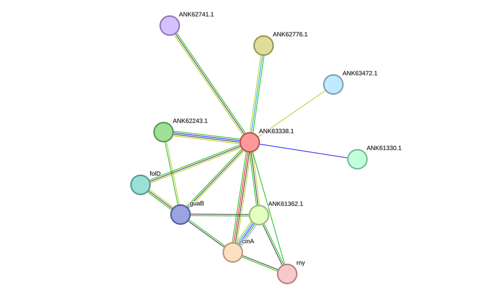 STRING protein interaction network